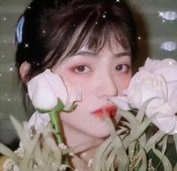 白色猎人黑色心